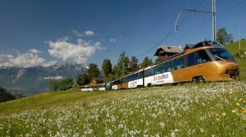 Swiss Half Fare Card