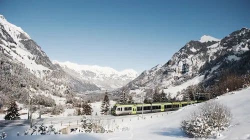 Swiss Half Fare Card