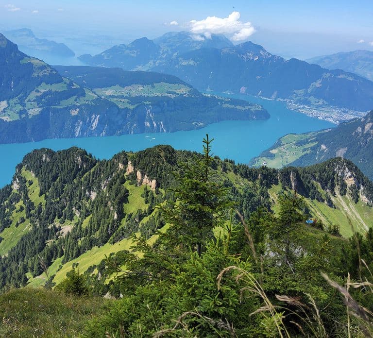 Tagesausflug ab Zürich: Wanderung auf den Rophaien mit lokalem Guide