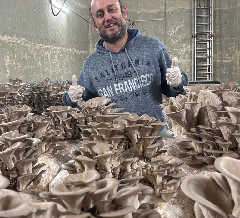 Zurich's best-kept secret: the hidden world of mushrooms!
