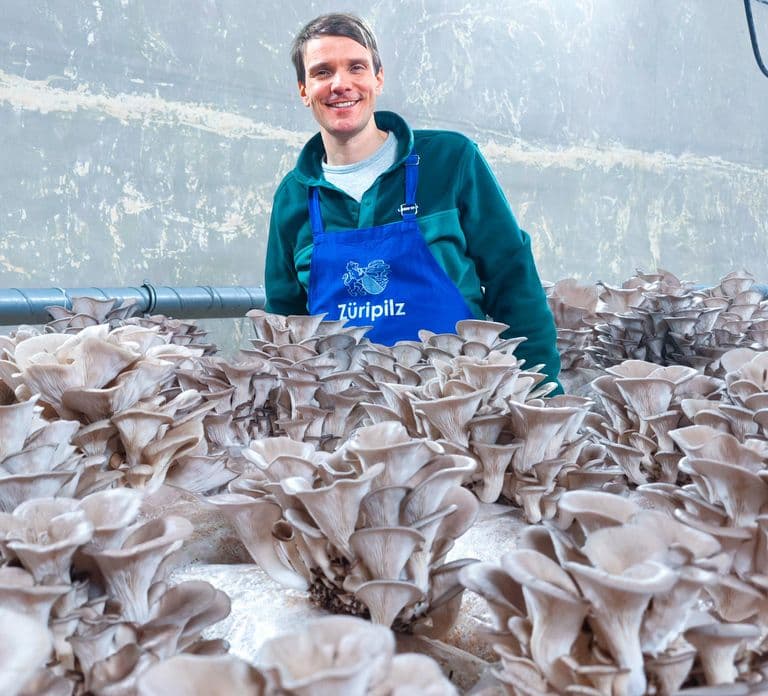 Zurich's best-kept secret: the hidden world of mushrooms!
