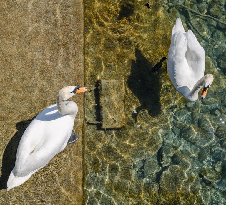 Zurich: 360° City Walk Tour Including Hidden Spots