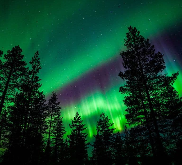Depuis Rovaniemi : Excursion familiale pour voir les aurores boréales