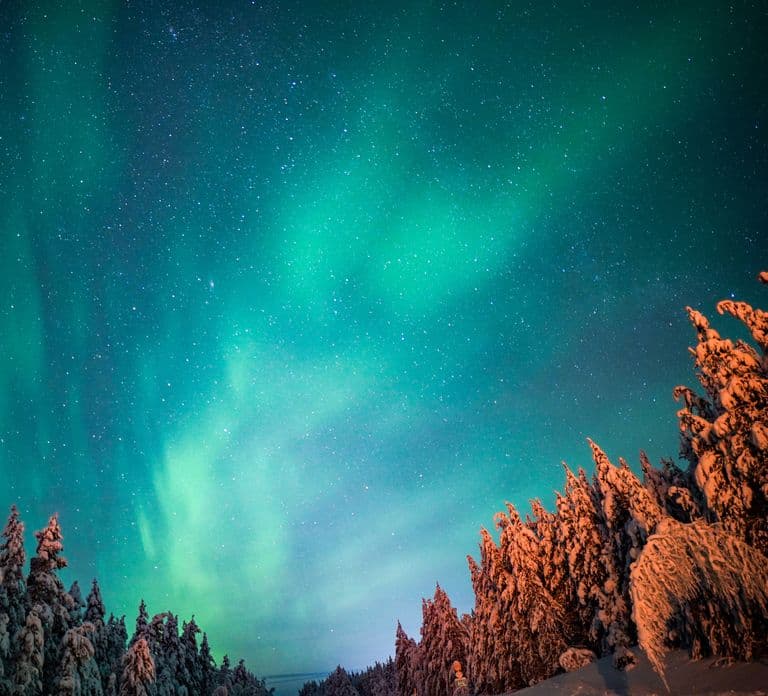 Z Rovaniemi: Przyjazna rodzinom wycieczka na zorzę polarną