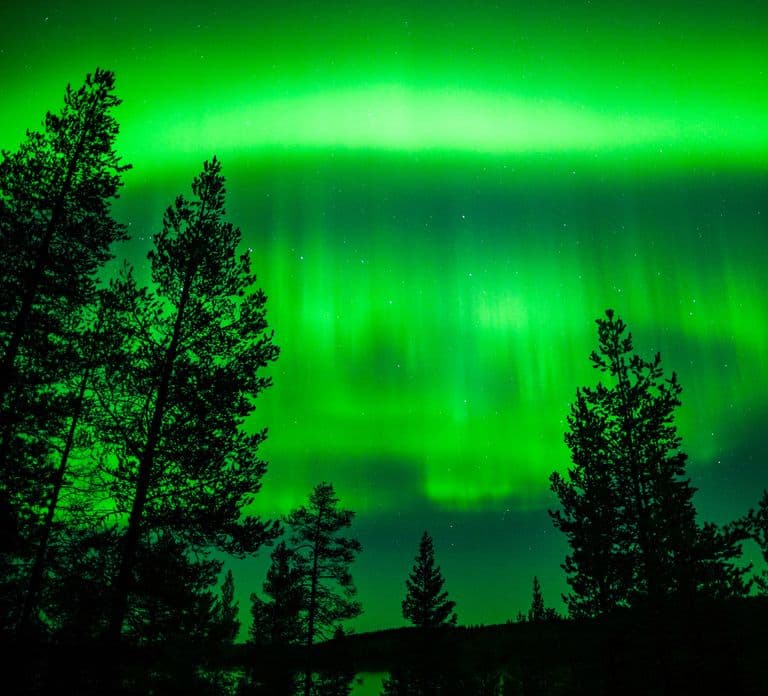 Depuis Rovaniemi : Excursion familiale pour voir les aurores boréales