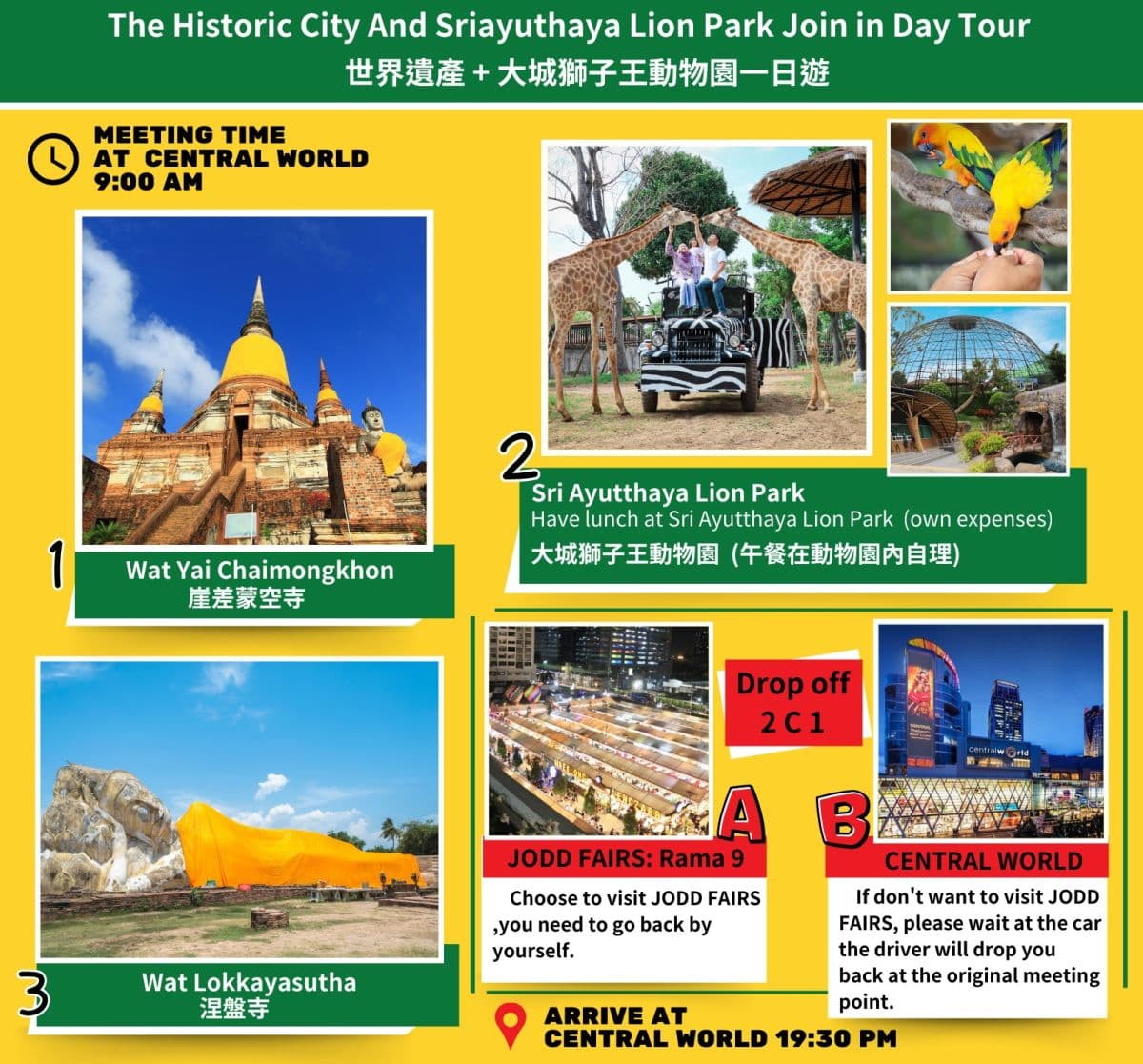 Excursion d'une journée dans la ville historique d'Ayutthaya et au Sriayuthaya Lion Park