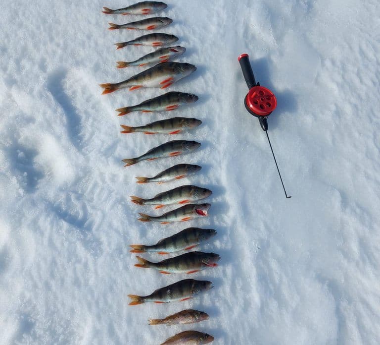 Oulu: Arctic Sea Ice Fishing