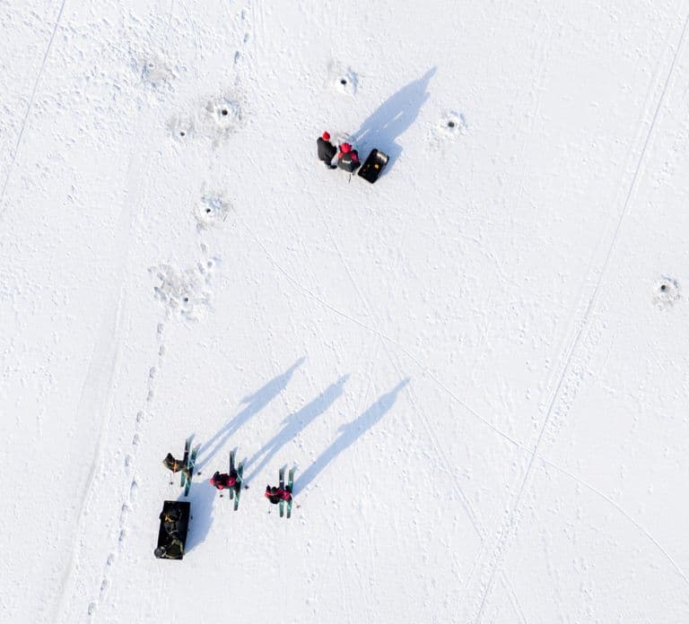 Oulu: Arctic Sea Snowshoe Experience