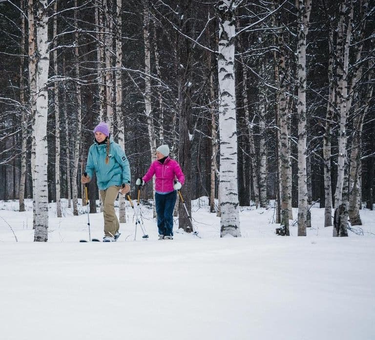 Pyhä: Tour sugli sci nelle foreste artiche