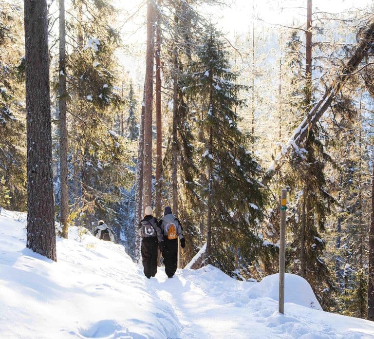 From Rovaniemi: Frozen Waterfalls of Korouoma Full-Day Tour