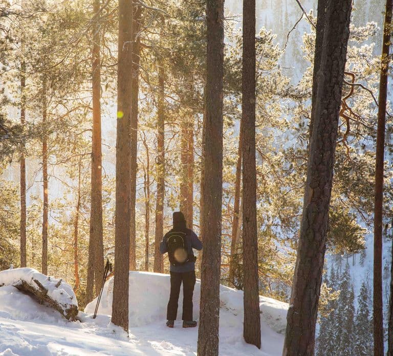 From Rovaniemi: Frozen Waterfalls of Korouoma Full-Day Tour