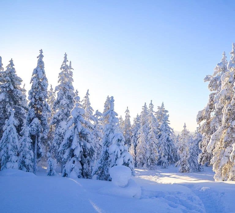 From Rovaniemi: Korouoma & Auttiköngäs Frozen Waterfalls