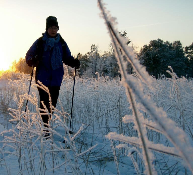 Ruka: Wyprawa z przewodnikiem na narty biegowe
