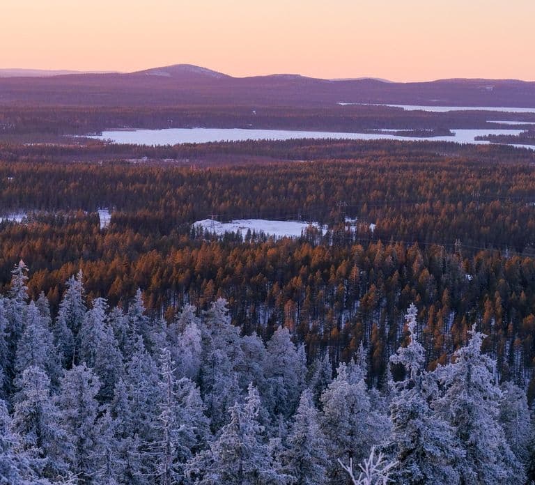 Ruka: Pyhävaara Schneeschuhwanderung