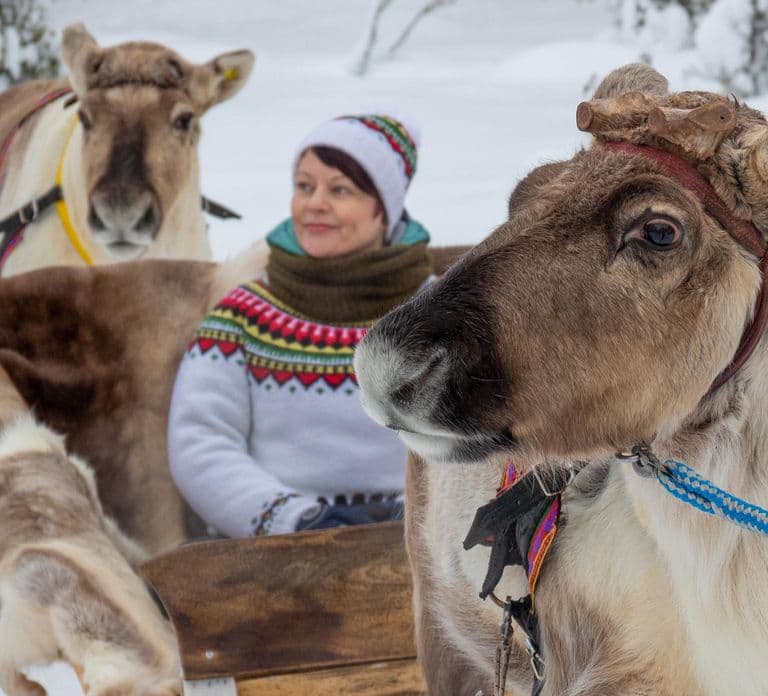 Ruka: Giro in slitta con renne, spuntini e racconti