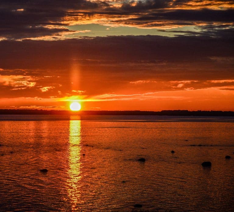 From Rovaniemi: Midnight Sun Forest Lake Float