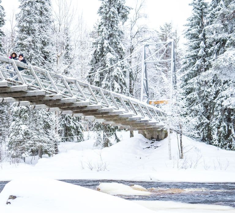Da Rovaniemi: Servizio fotografico privato nella natura selvaggia della Lapponia