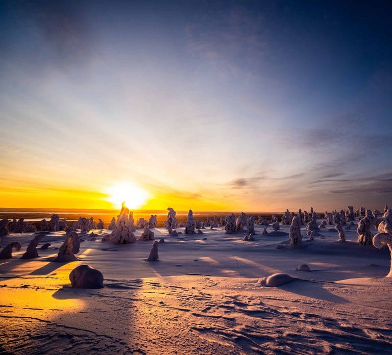 Vanuit Rovaniemi: Riisitunturi Wildernisavontuur van een hele dag