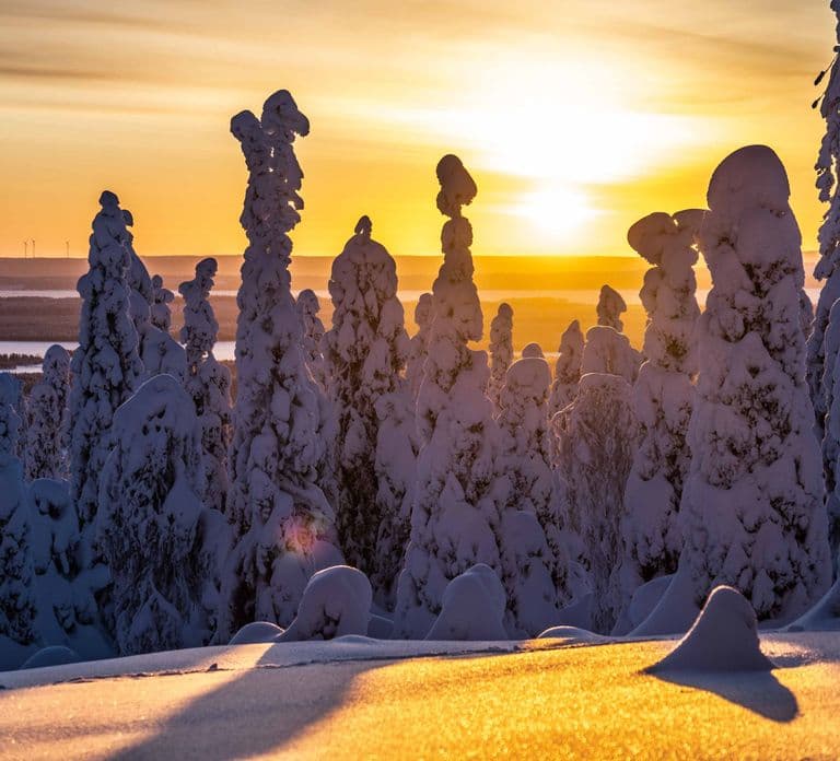 Vanuit Rovaniemi: Riisitunturi Wildernisavontuur van een hele dag