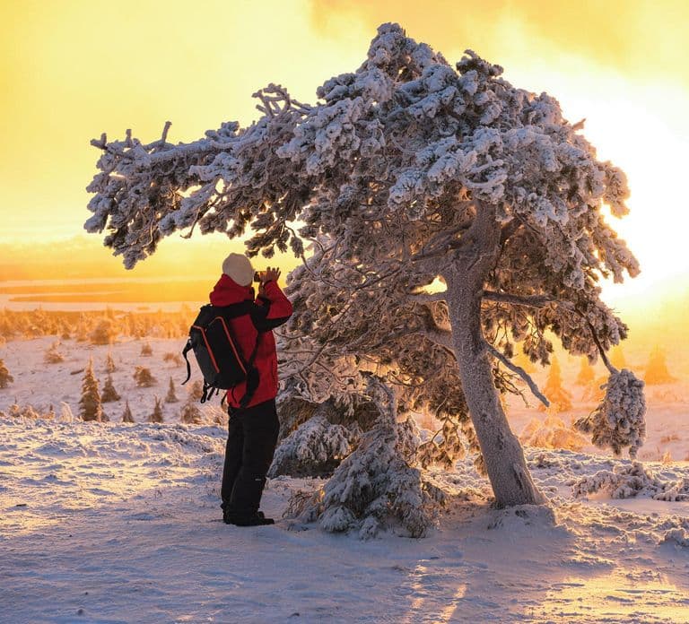 Desde Rovaniemi: Aventura de día completo en la naturaleza de Riisitunturi