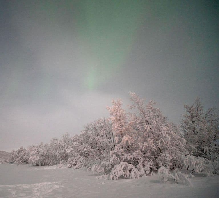 Caccia all'Aurora per soli adulti con ciaspolata nella natura selvaggia