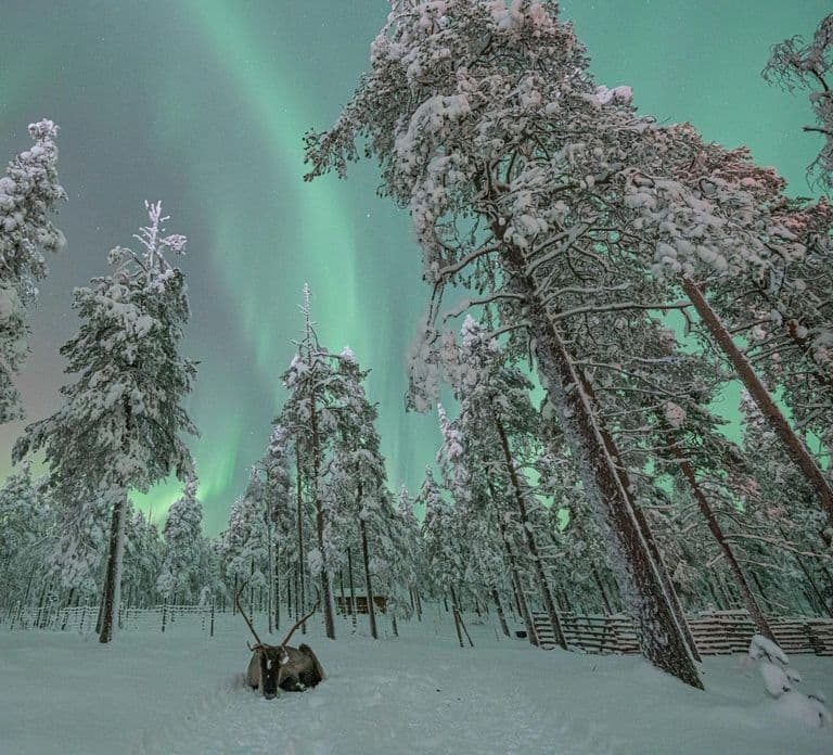 Caccia all'Aurora per soli adulti con ciaspolata nella natura selvaggia