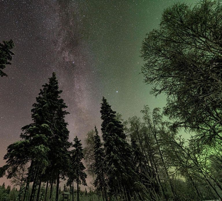 Caza de auroras solo para adultos con raquetas de nieve en la naturaleza
