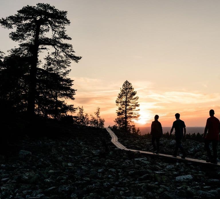 Arctic Wilderness Hike from Rovaniemi (Day & Evening)