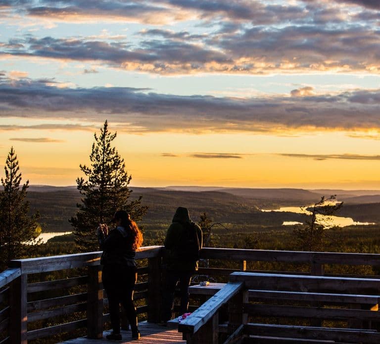 Arctic Wilderness Hike from Rovaniemi (Day & Evening)