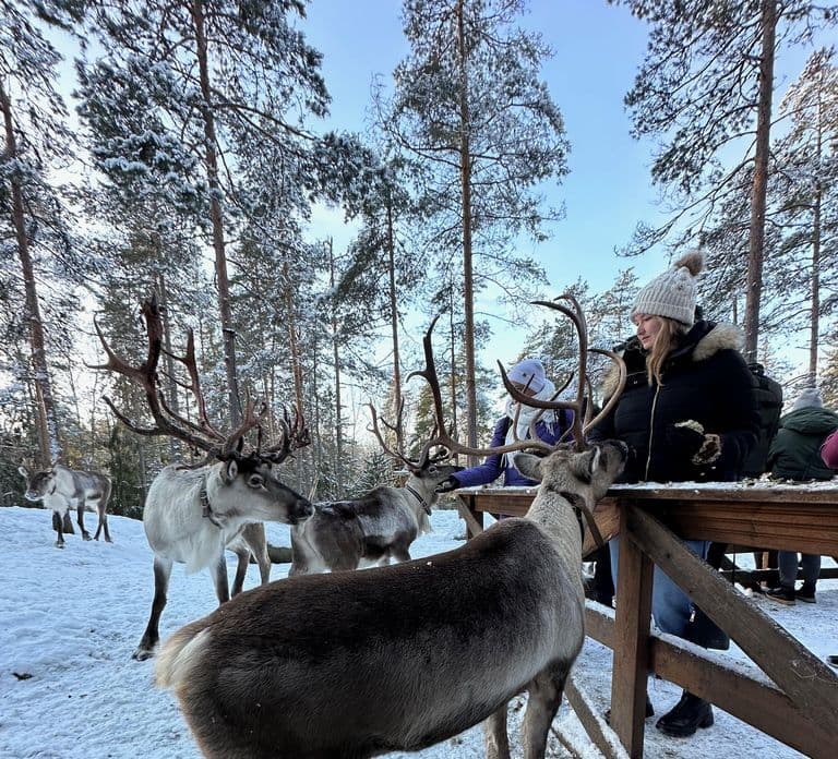 Authentic Reindeer Experience with Private Transportation