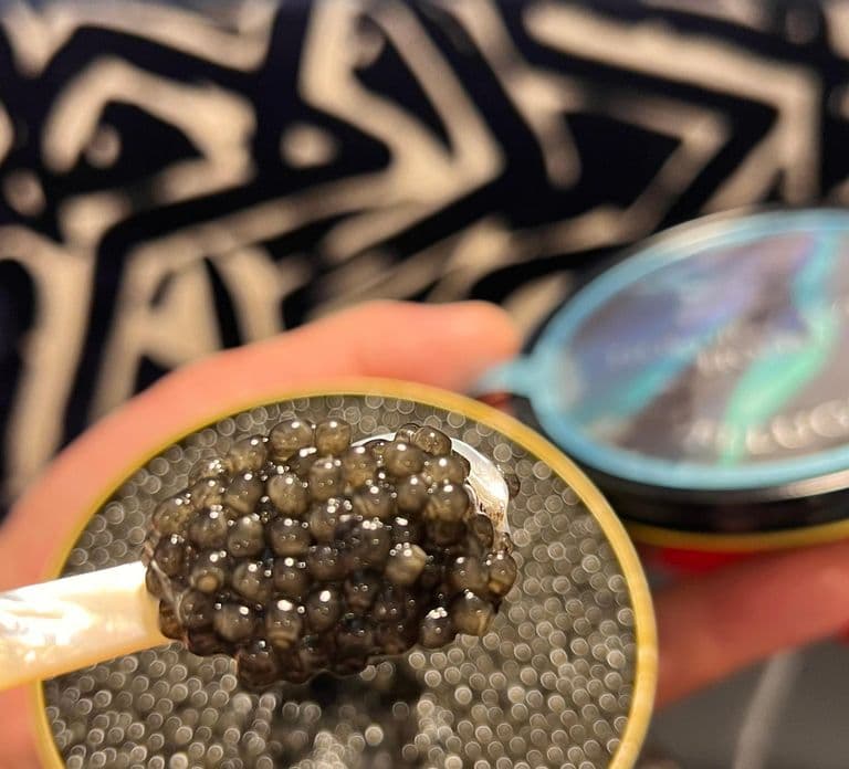 Finlandia: Nordic Caviar House a Helsinki. Esperienza di degustazione