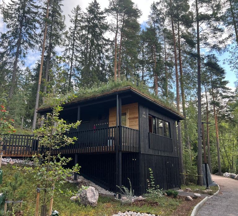 Desde Helsinki: Senderismo y sauna en el Parque Nacional de Sipoonkorpi