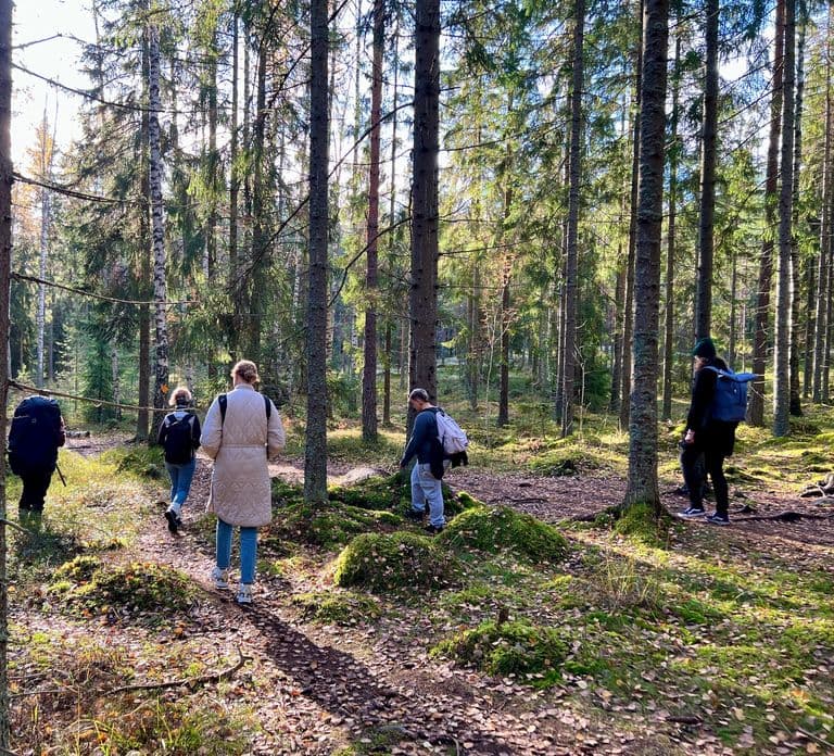 From Helsinki: Hike and Sauna in Sipoonkorpi National Park