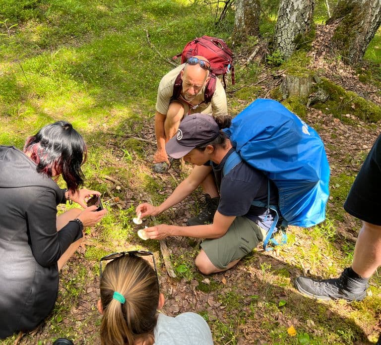 Desde Helsinki: Senderismo y sauna en el Parque Nacional de Sipoonkorpi