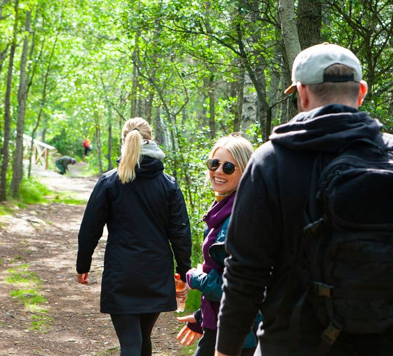 From Helsinki: Magical Taiga Hike in Liesjärvi National Park