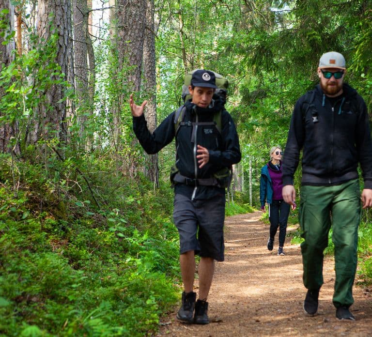 Helsinki 출발: Liesjärvi National Park에서 즐기는 마법 같은 Taiga 하이킹