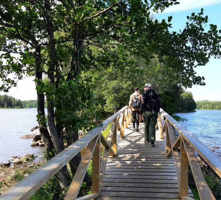 Helsinki 출발: Liesjärvi National Park에서 즐기는 마법 같은 Taiga 하이킹