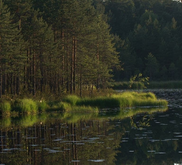 De Helsinque: Excursão de meio dia ao Parque Nacional Nuuksio