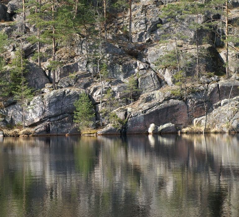 From Helsinki: Nuuksio National Park Half-Day Trip