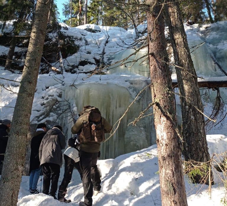 Vanuit Helsinki: Wandeltocht door Nationaal Park Nuuksio met eten