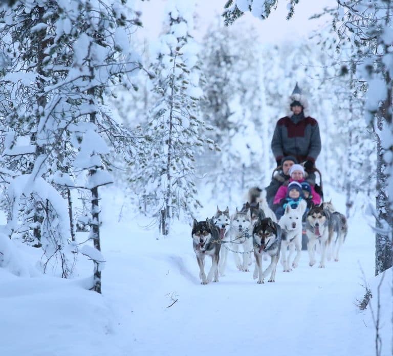Ab Rovaniemi: 5 km Husky-Schlittenfahrt als Passagier