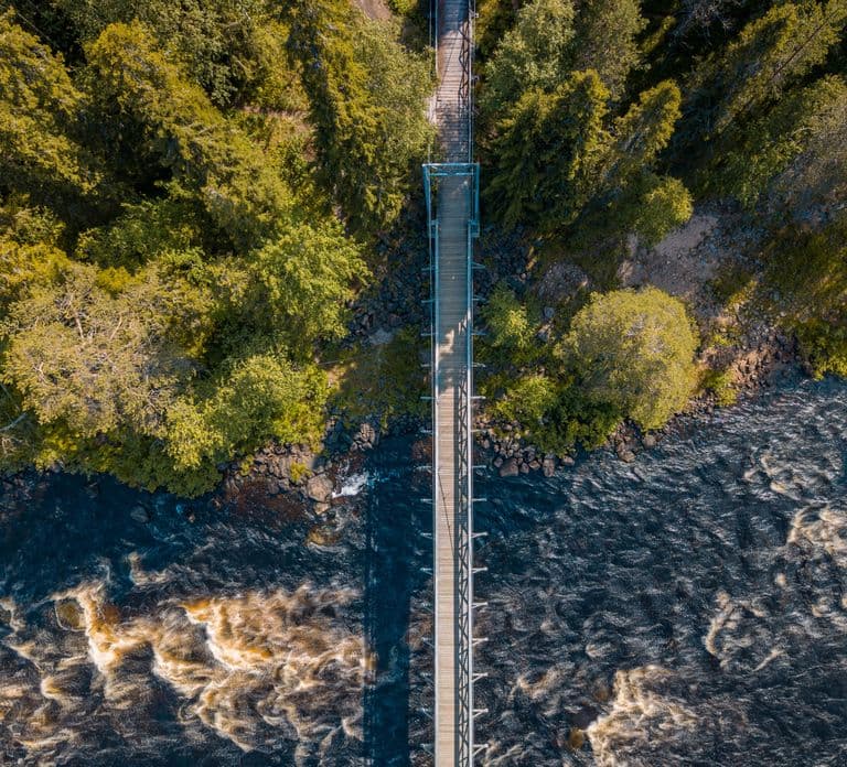 Desde Rovaniemi: Excursión de senderismo por el bosque de Vikaköngäs