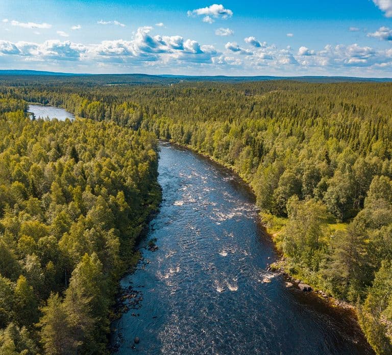 Desde Rovaniemi: Excursión de senderismo por el bosque de Vikaköngäs