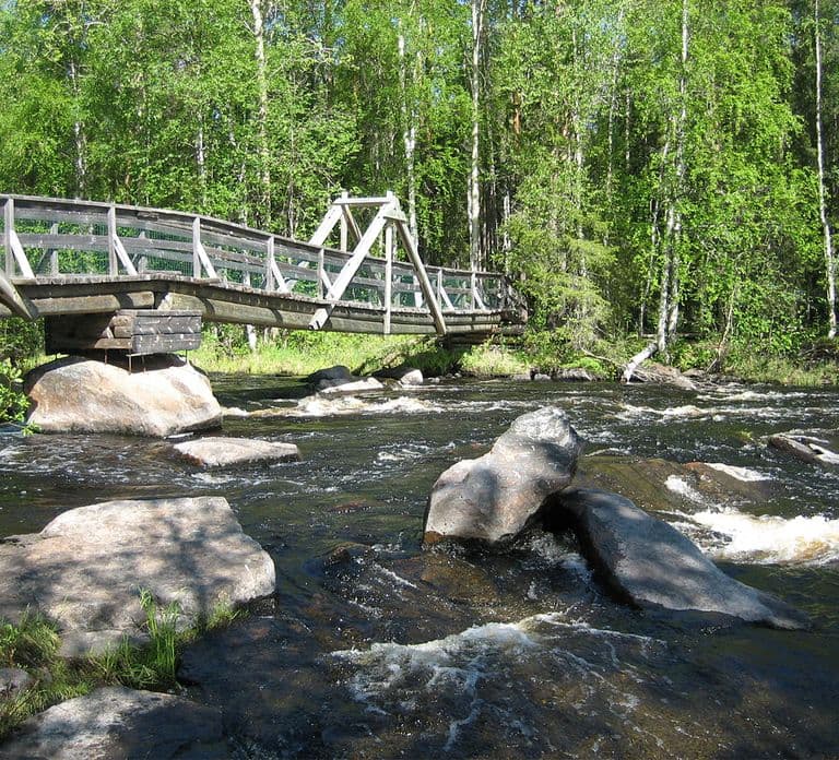 Da Rovaniemi: Tour escursionistico nella foresta di Vikaköngäs