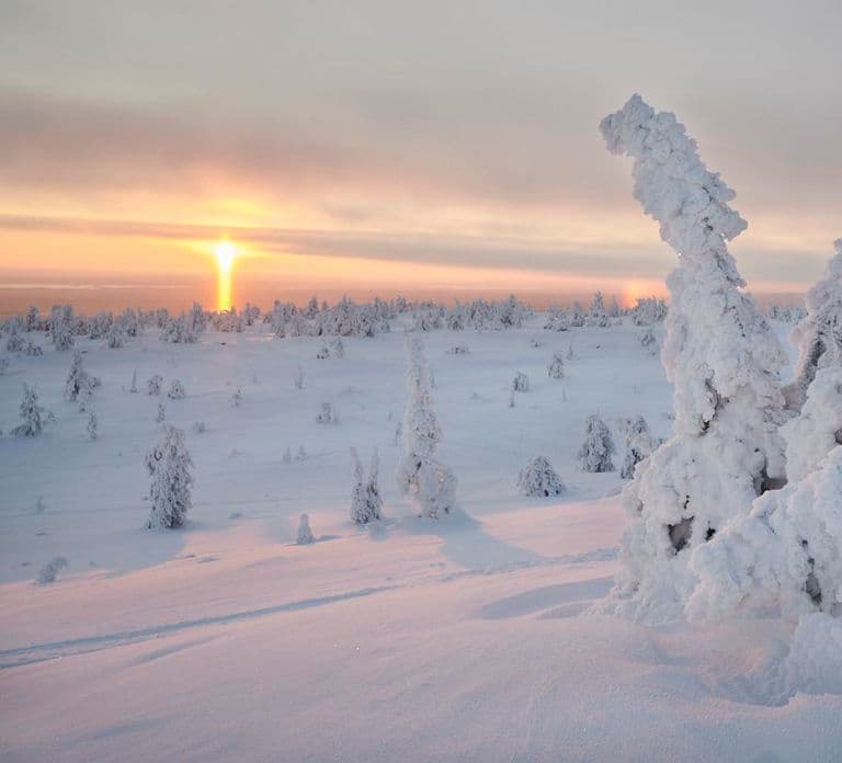 From Rovaniemi: Winter Wonderland Hike with a Hot Drink