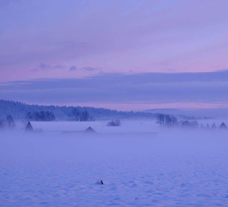 Da Rovaniemi: escursione nel paese delle meraviglie invernale con bevanda calda