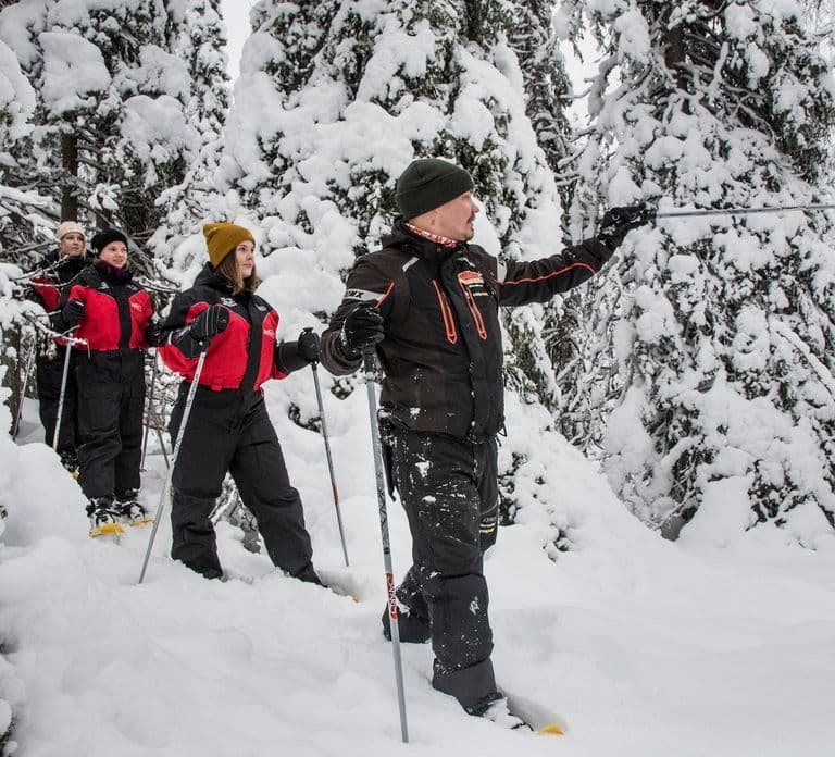 Desde Ruka: Raquetas de nieve en el Parque Nacional de Oulanka