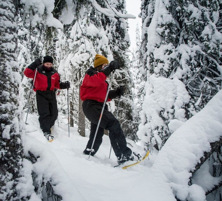 De Ruka: Caminhada com raquetes de neve no Parque Nacional de Oulanka