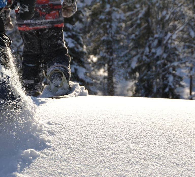 Desde Ruka: Raquetas de nieve en el Parque Nacional de Oulanka