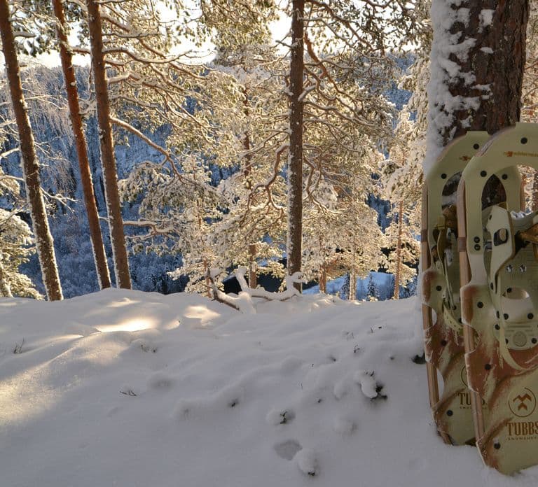 Da Ruka: ciaspolata nel Parco Nazionale di Riisitunturi